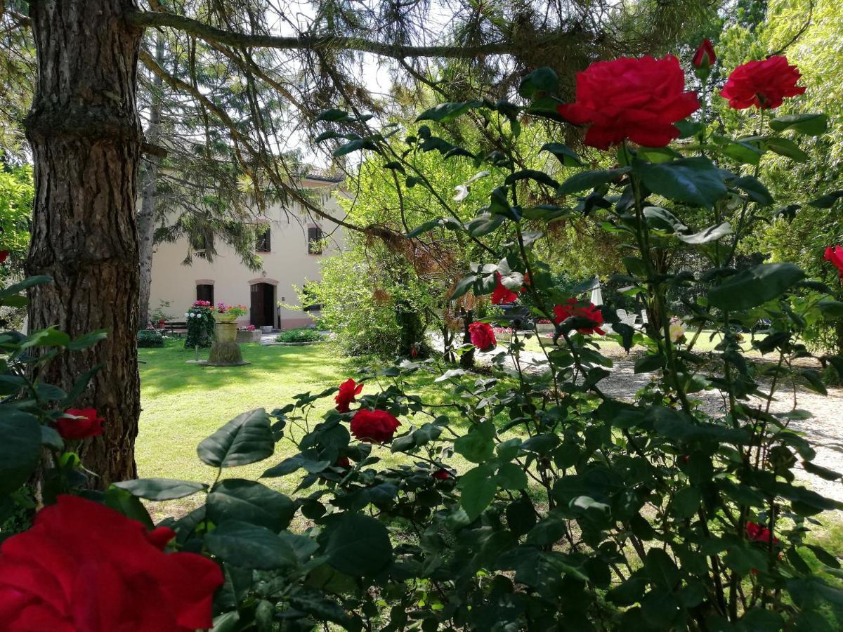 B&B Casa Manuela Μάντοβα Εξωτερικό φωτογραφία